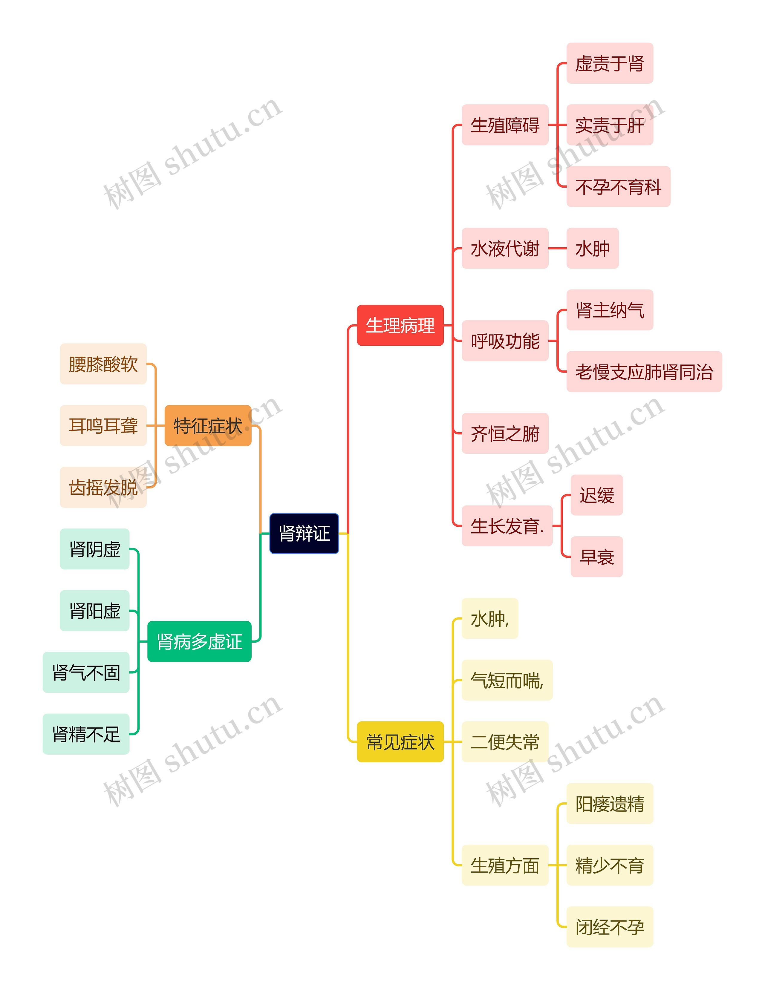 中医知识肾辩证思维导图