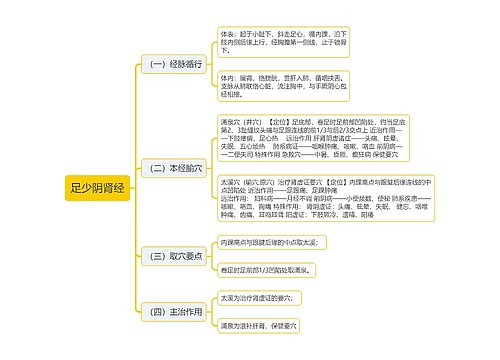 足少阴肾经思维导图