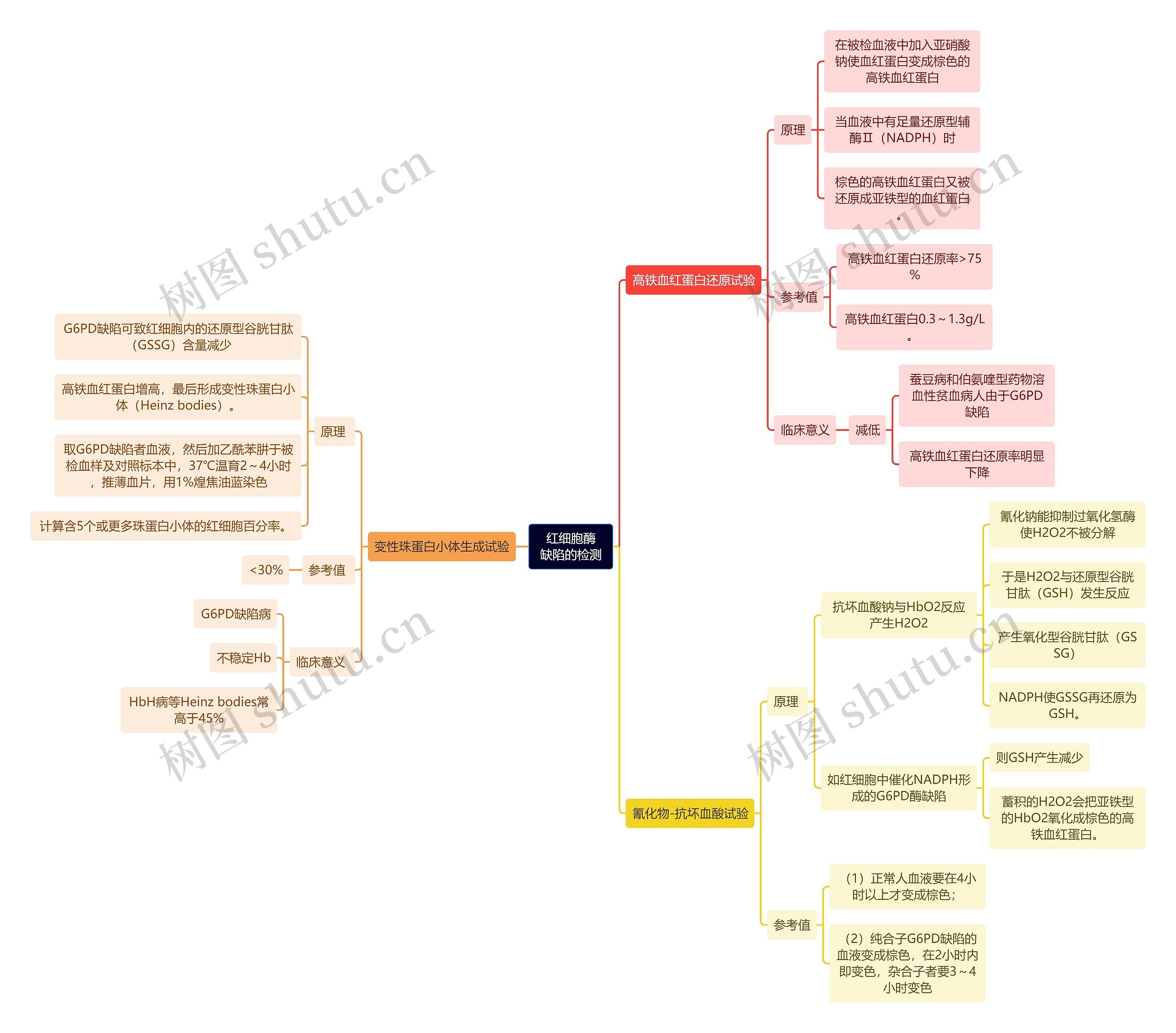 医学知识红细胞酶缺陷的检测思维导图