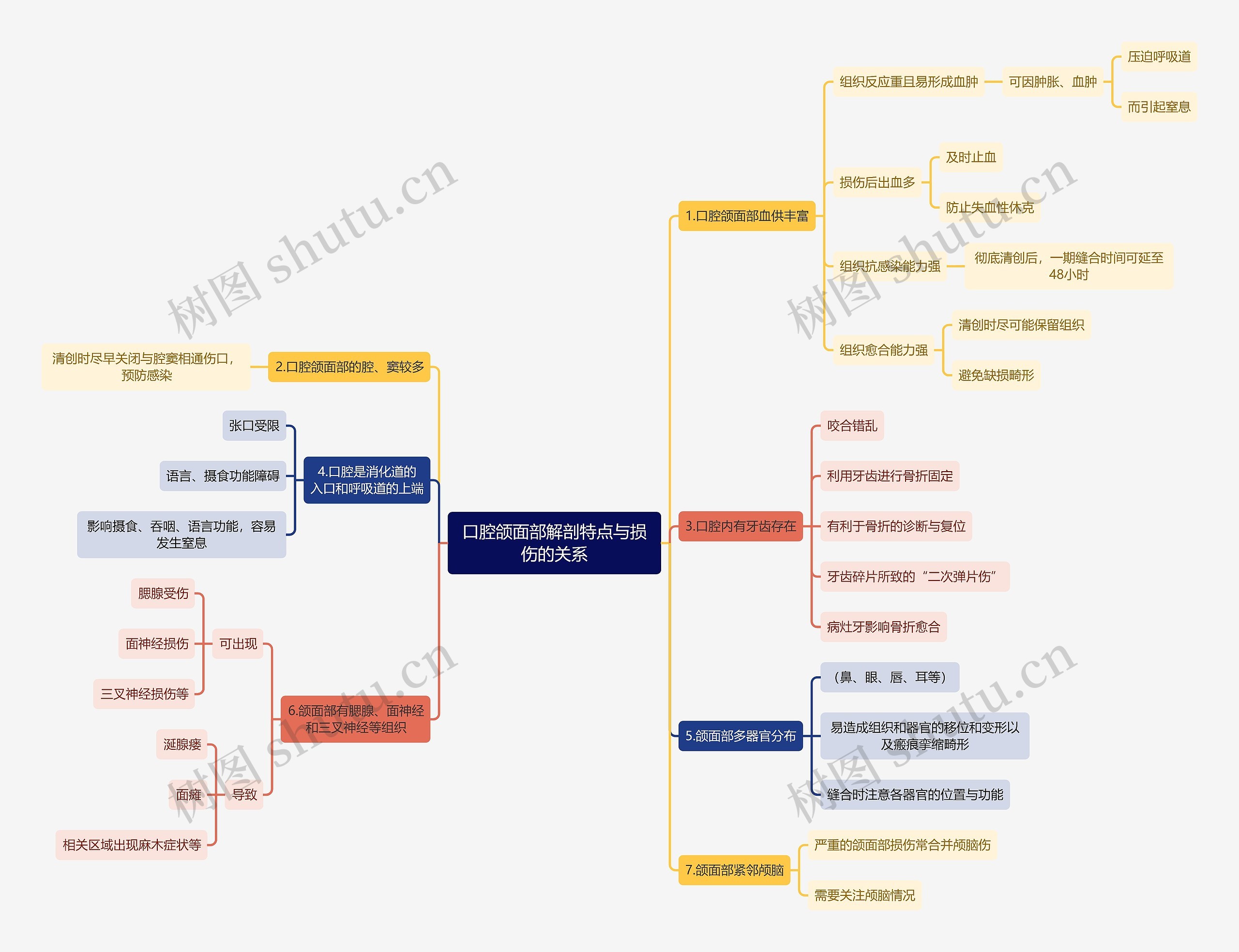 医学知识口腔颌面部解剖特点与损伤的关系思维导图