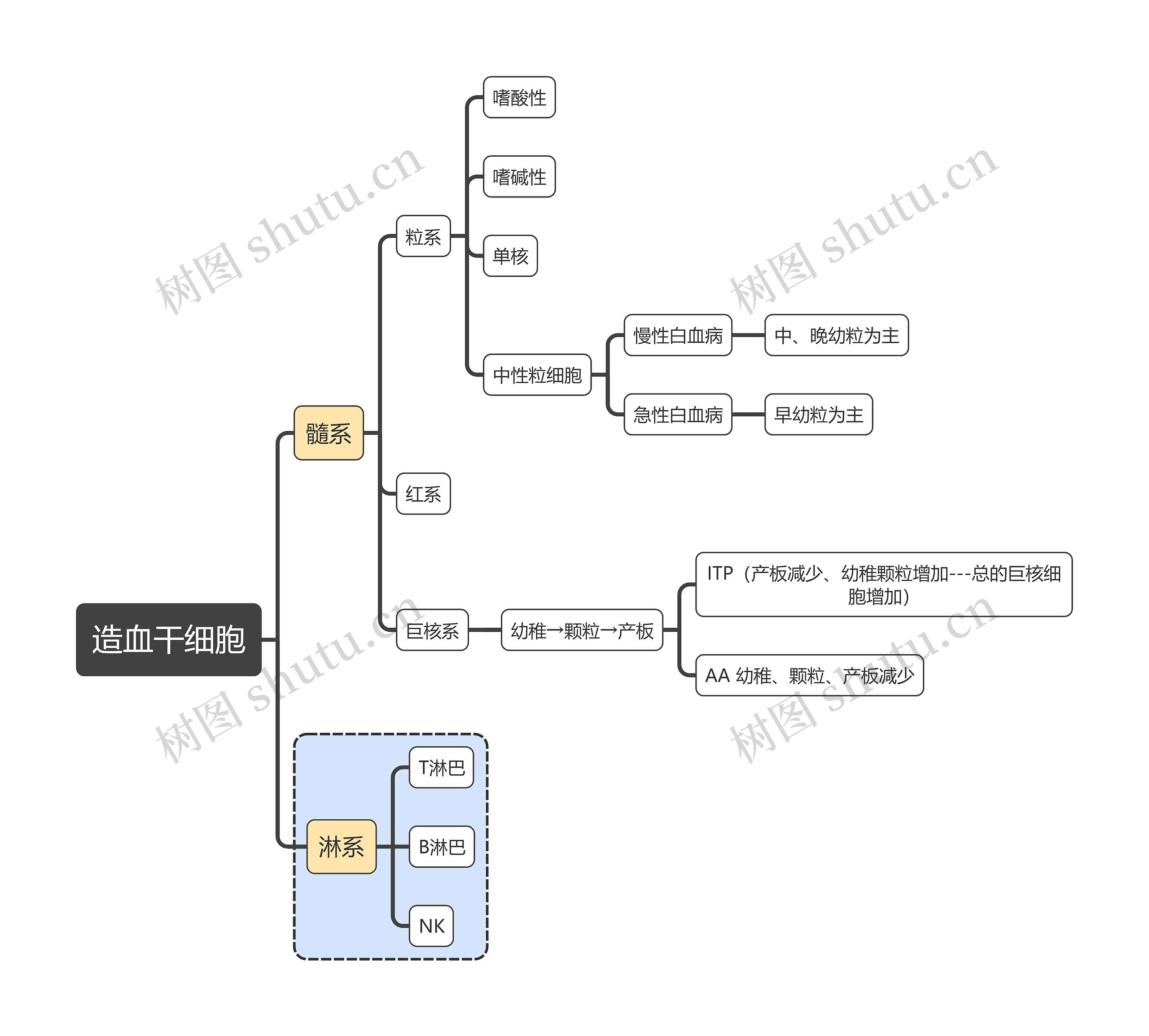 医学知识造血干细胞思维导图