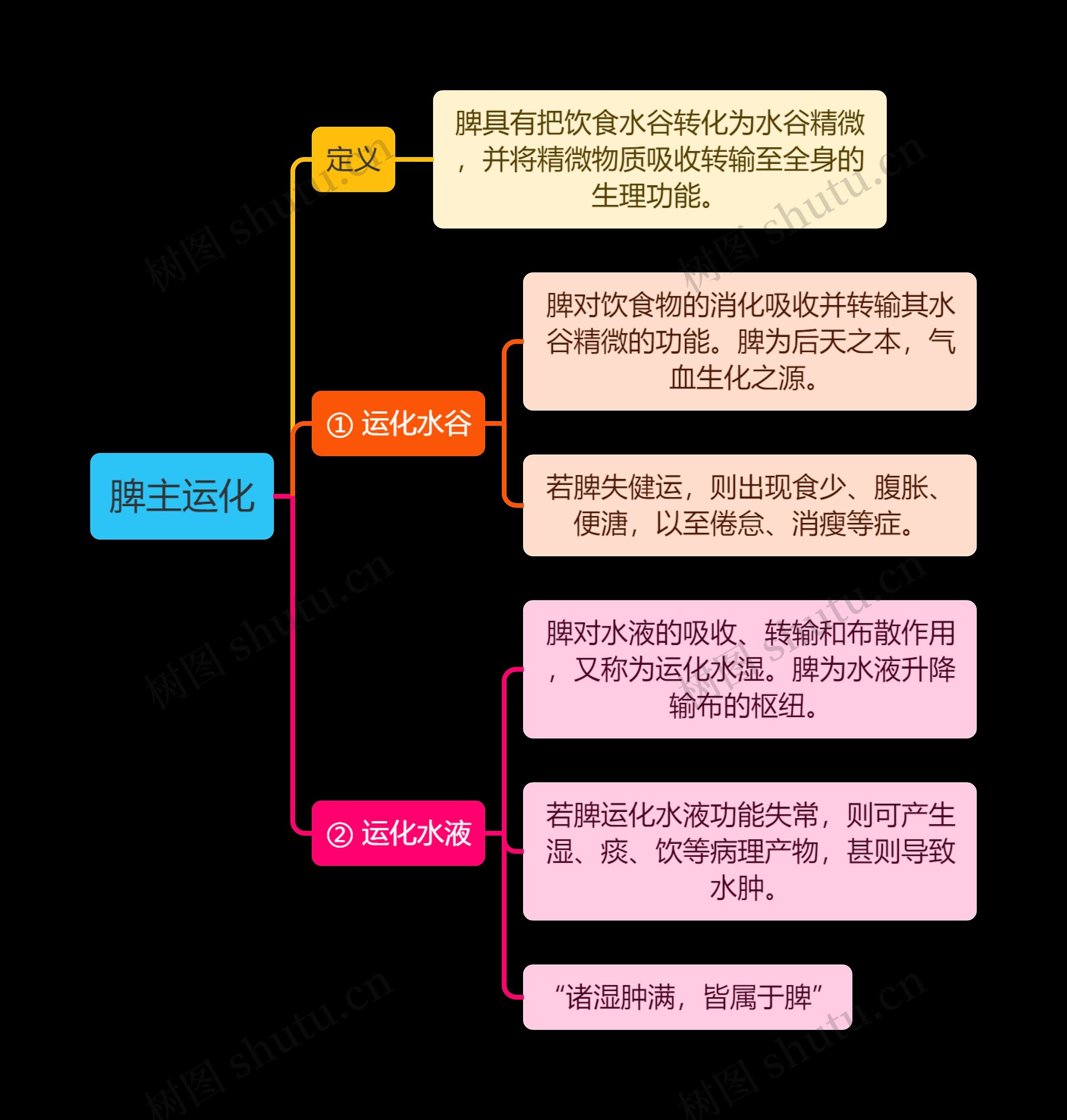 中医知识脾主运化思维导图