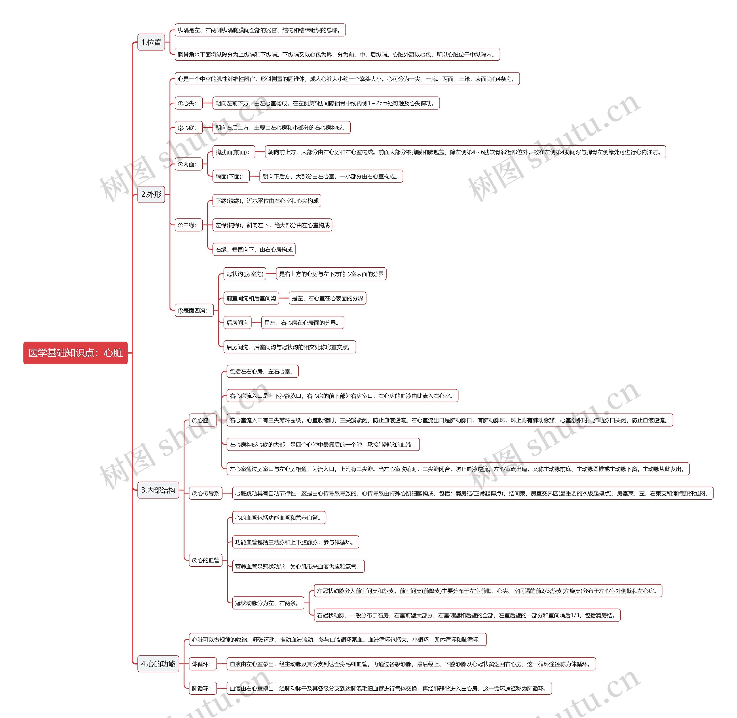 医学基础知识点：心脏思维导图
