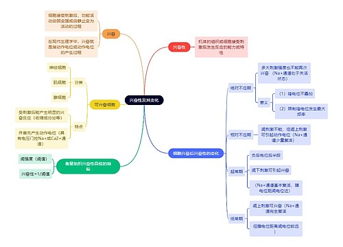 医学知识兴奋性及其变化思维导图