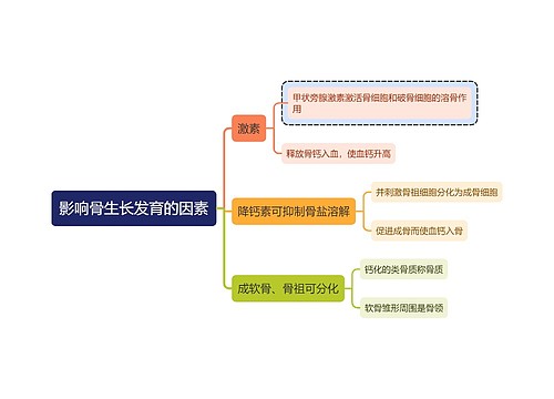 医学知识影响骨生长发育的因素思维导图