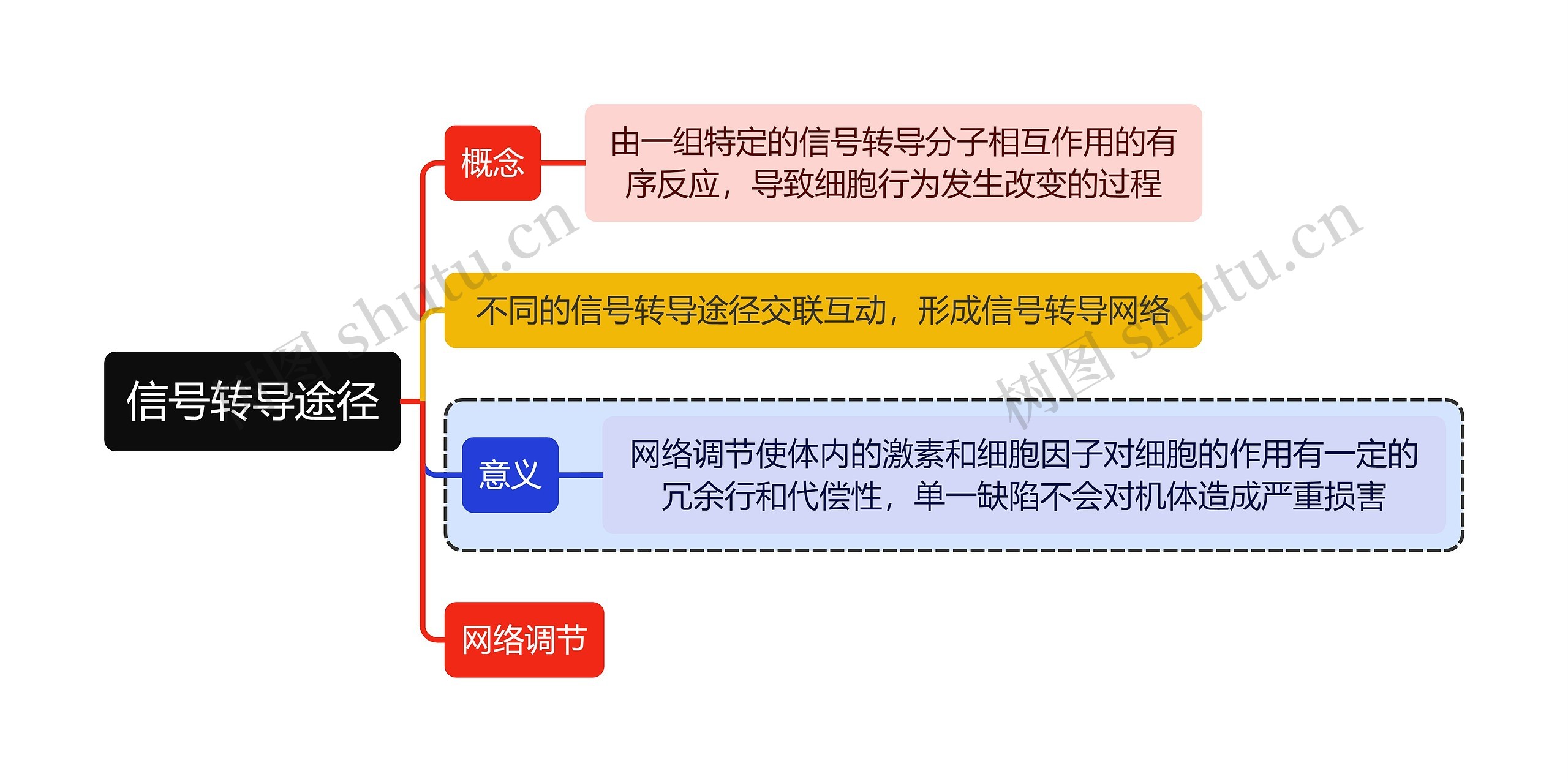 医学知识信号转导途径思维导图