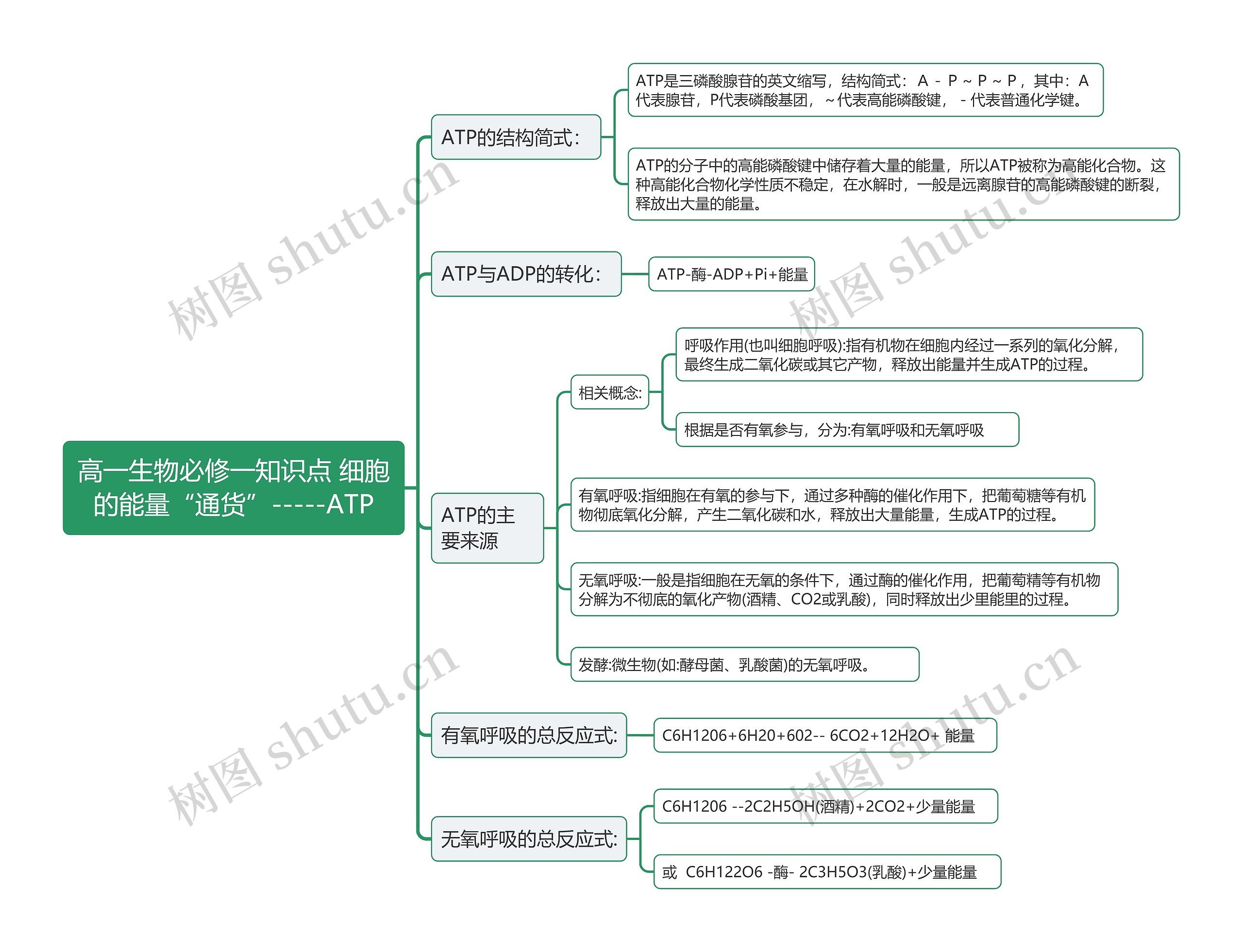 高一生物必修一知识点 细胞的能量“通货”-----ATP思维导图高清图 高一生物必修一知识点 细胞的能量“通货”-----ATP思维导图