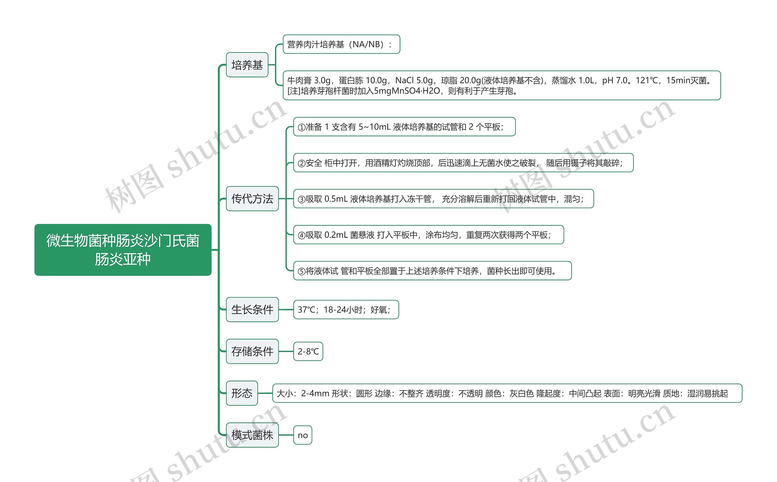 微生物菌种肠炎沙门氏菌肠炎亚种思维导图