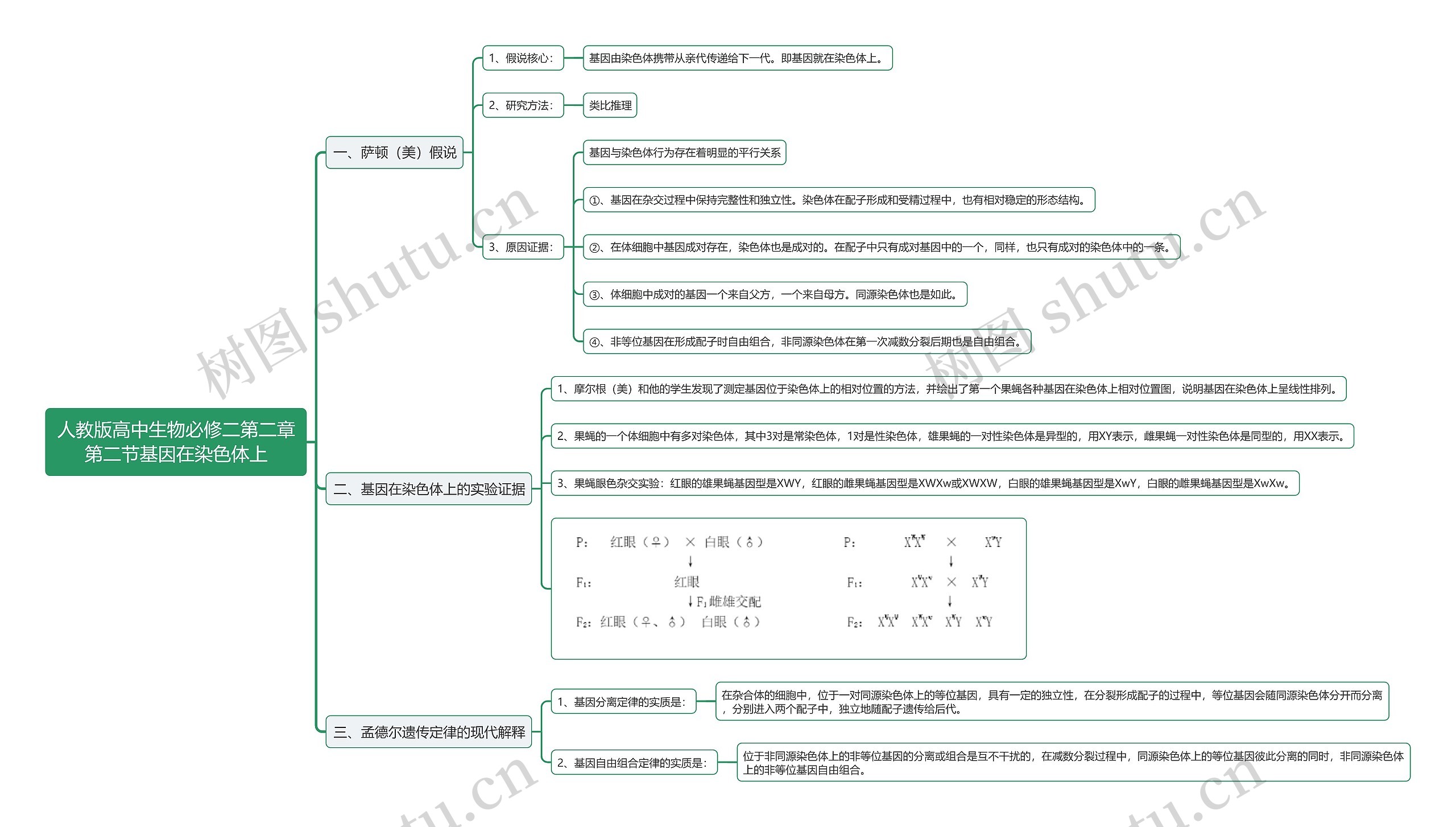 人教版高中生物必修二第二章第二节基因在染色体上思维导图