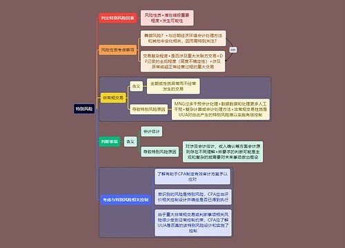 财务会计知识特别风险思维导图