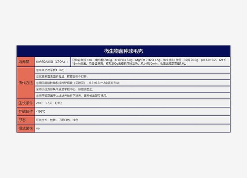 微生物菌种球毛壳思维导图思维导图