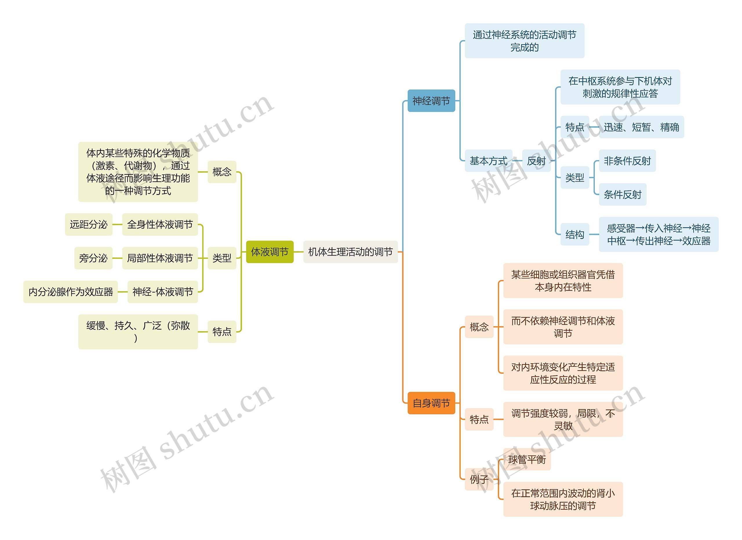 医学知识机体生理活动的调节思维导图