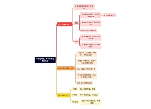 医学知识中性粒细胞，单核和淋巴细胞功能思维导图