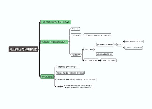 医学知识肾上腺髓质分泌儿茶酚胺思维导图