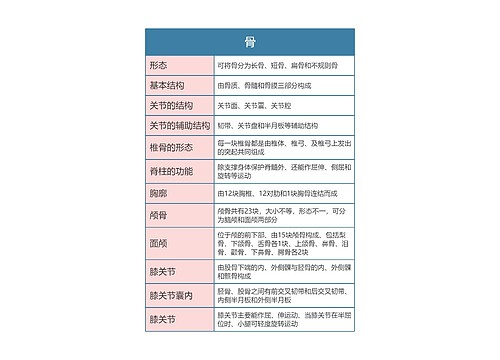 解剖学  骨思维导图