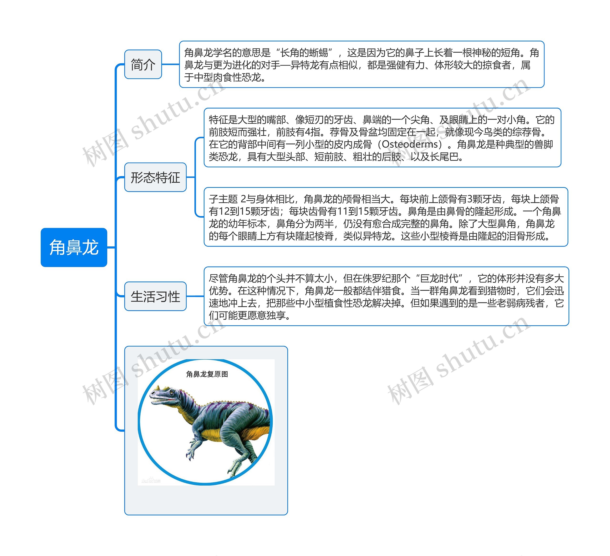 角鼻龙思维导图