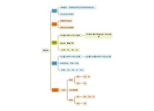 生化-rRNA-思维导图
