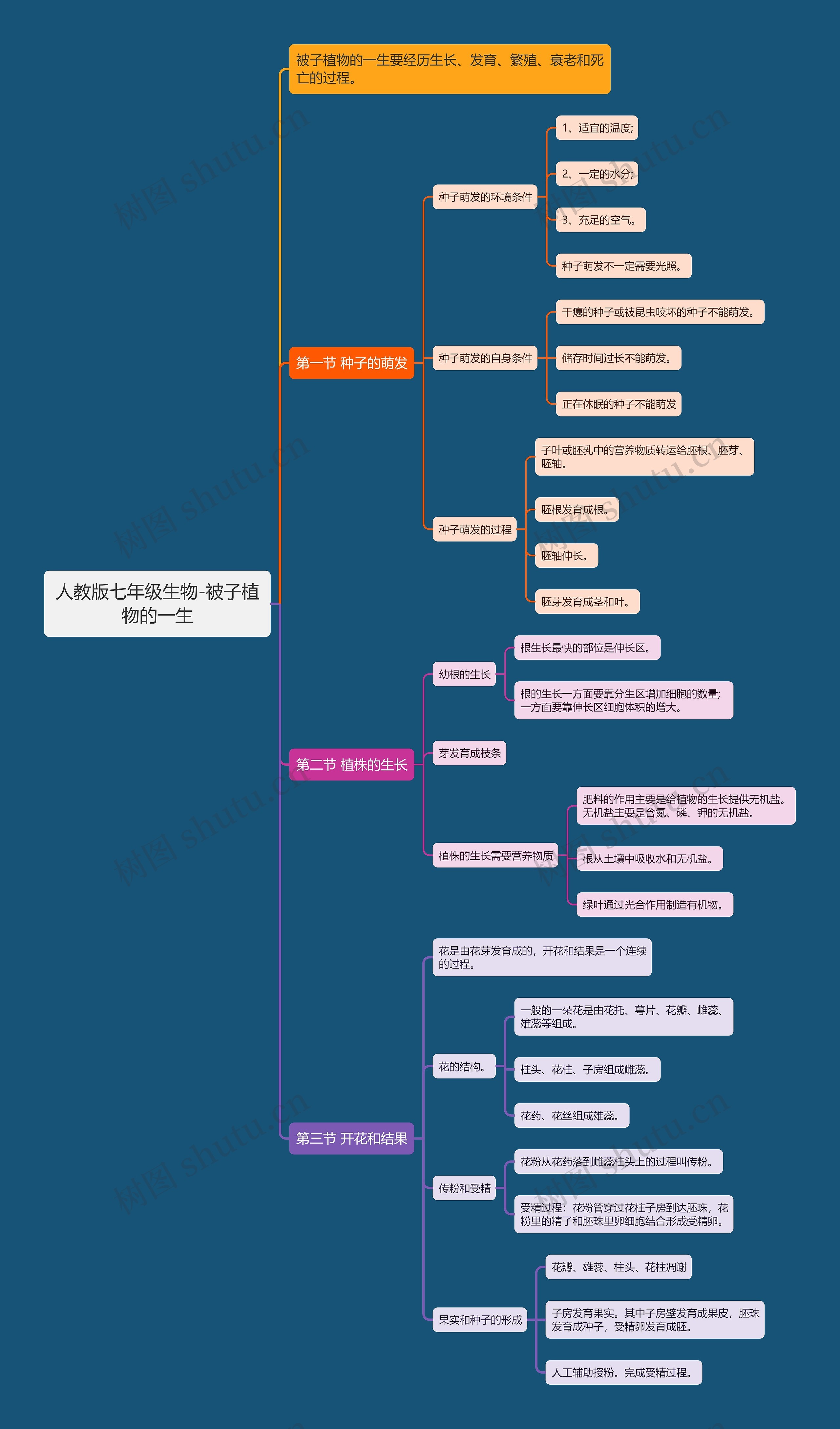 人教版七年级生物-被子植物的一生思维导图