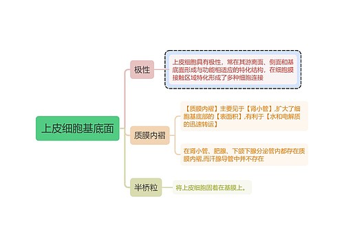 医学知识质膜内褶思维导图