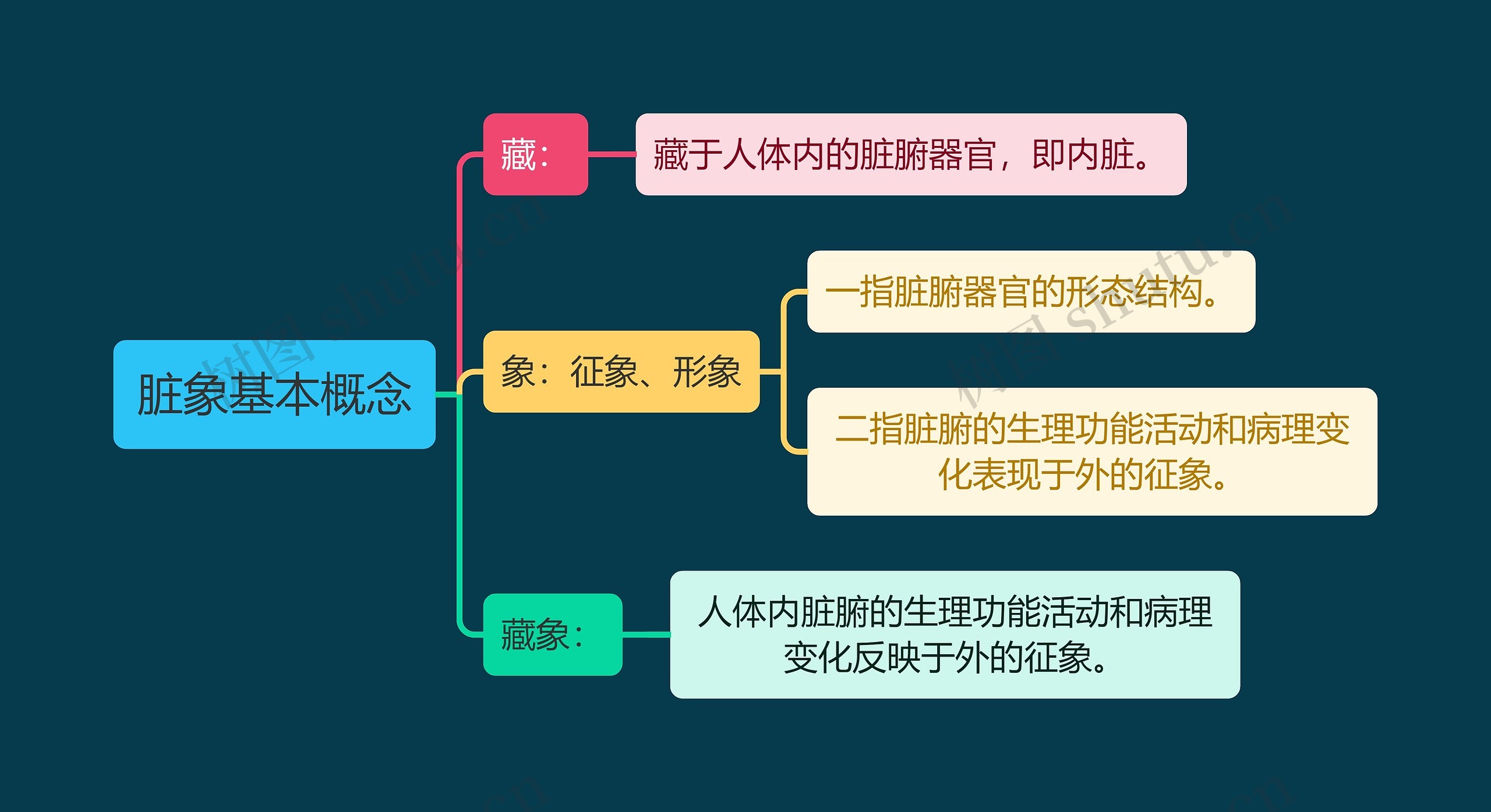 中医知识脏象基本概念思维导图