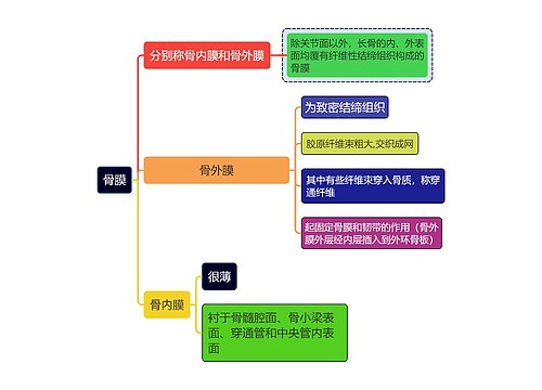 医学知识骨膜思维导图