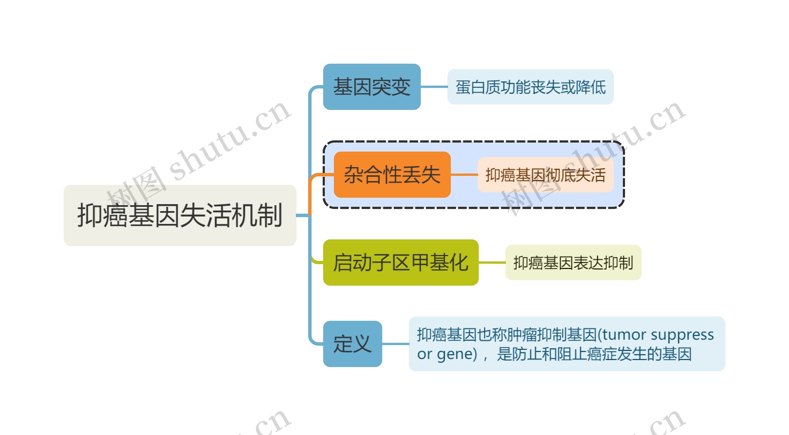 医学知识抑癌基因失活机制思维导图