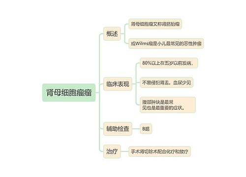 内科学知识肾母细胞瘤瘤思维导图