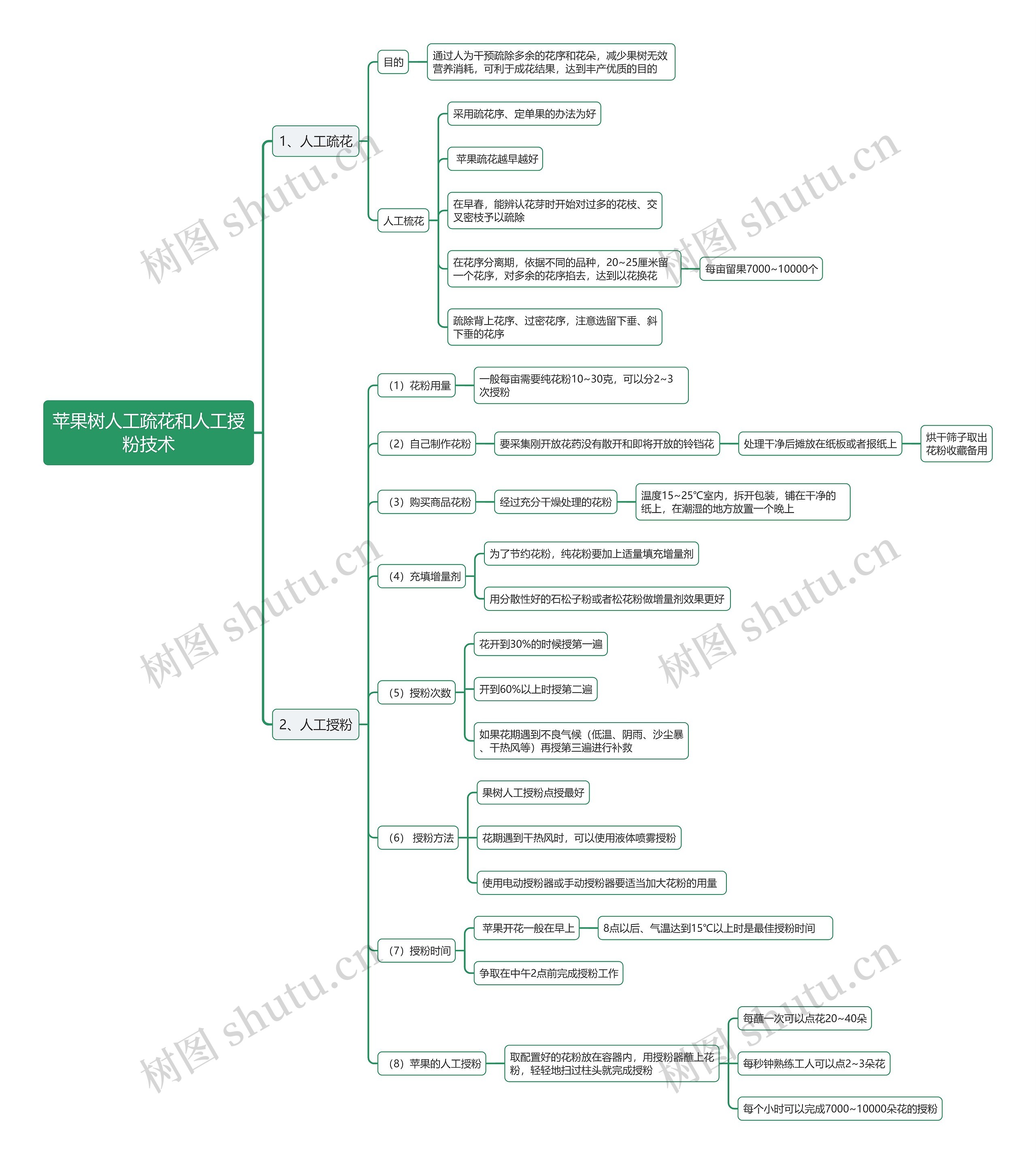 苹果树人工疏花和人工授
粉技术思维导图