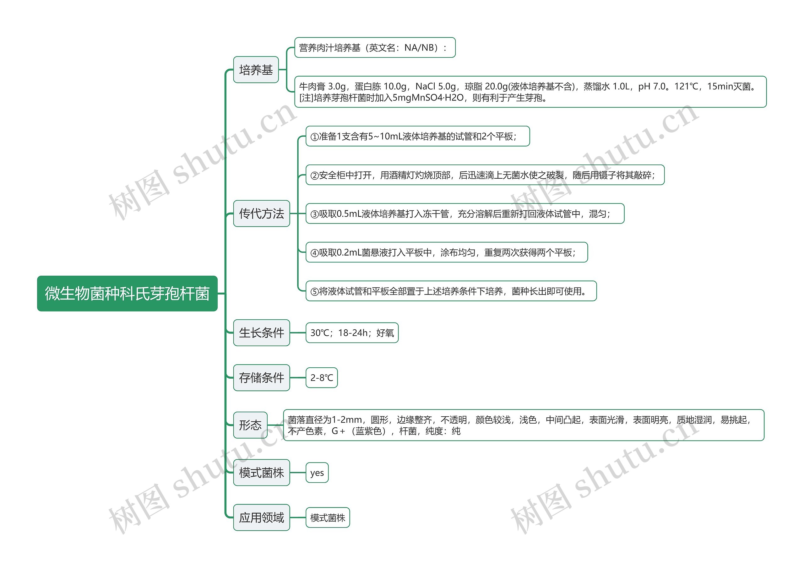 微生物菌种科氏芽孢杆菌思维导图