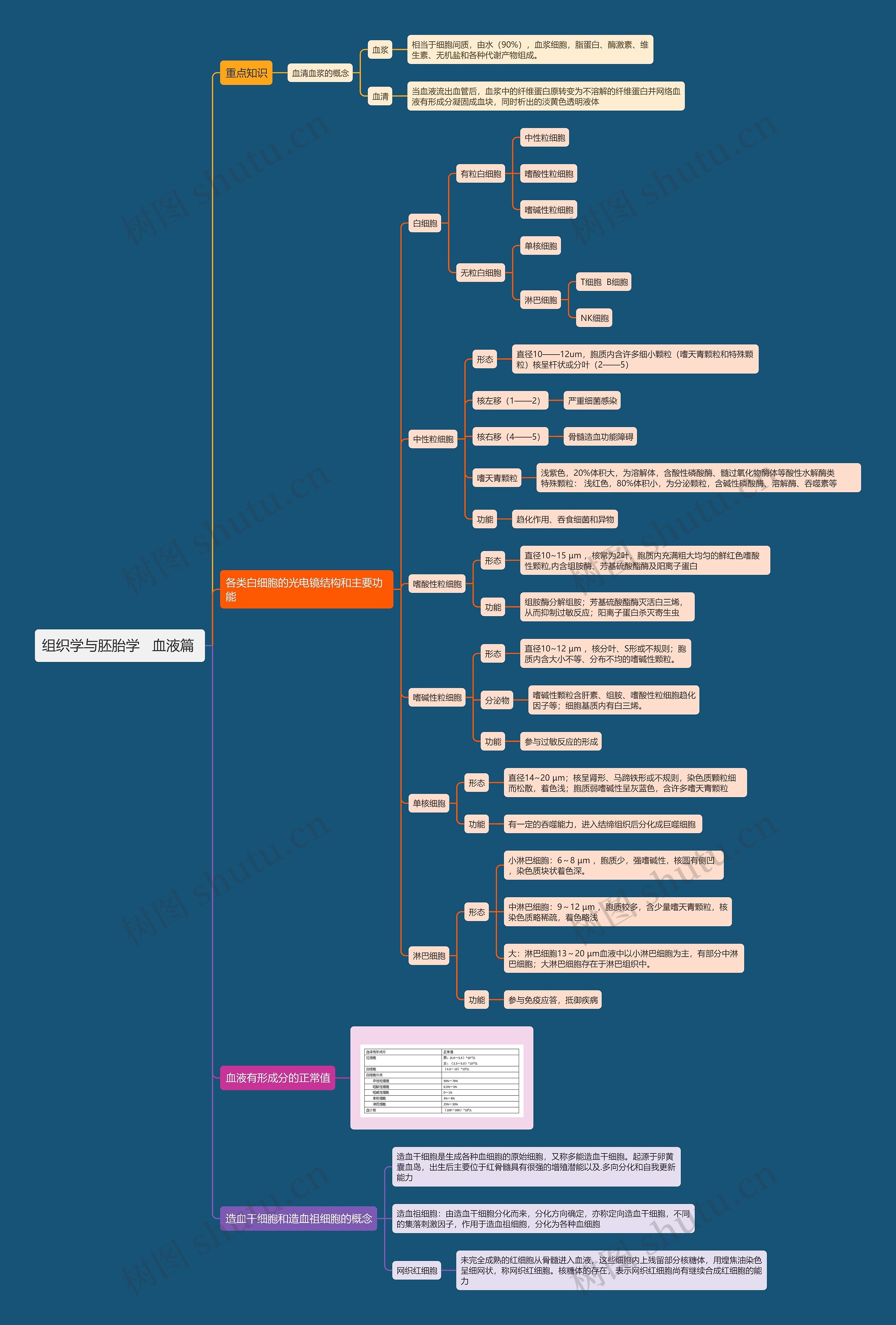 组织学与胚胎学   血液篇 思维导图