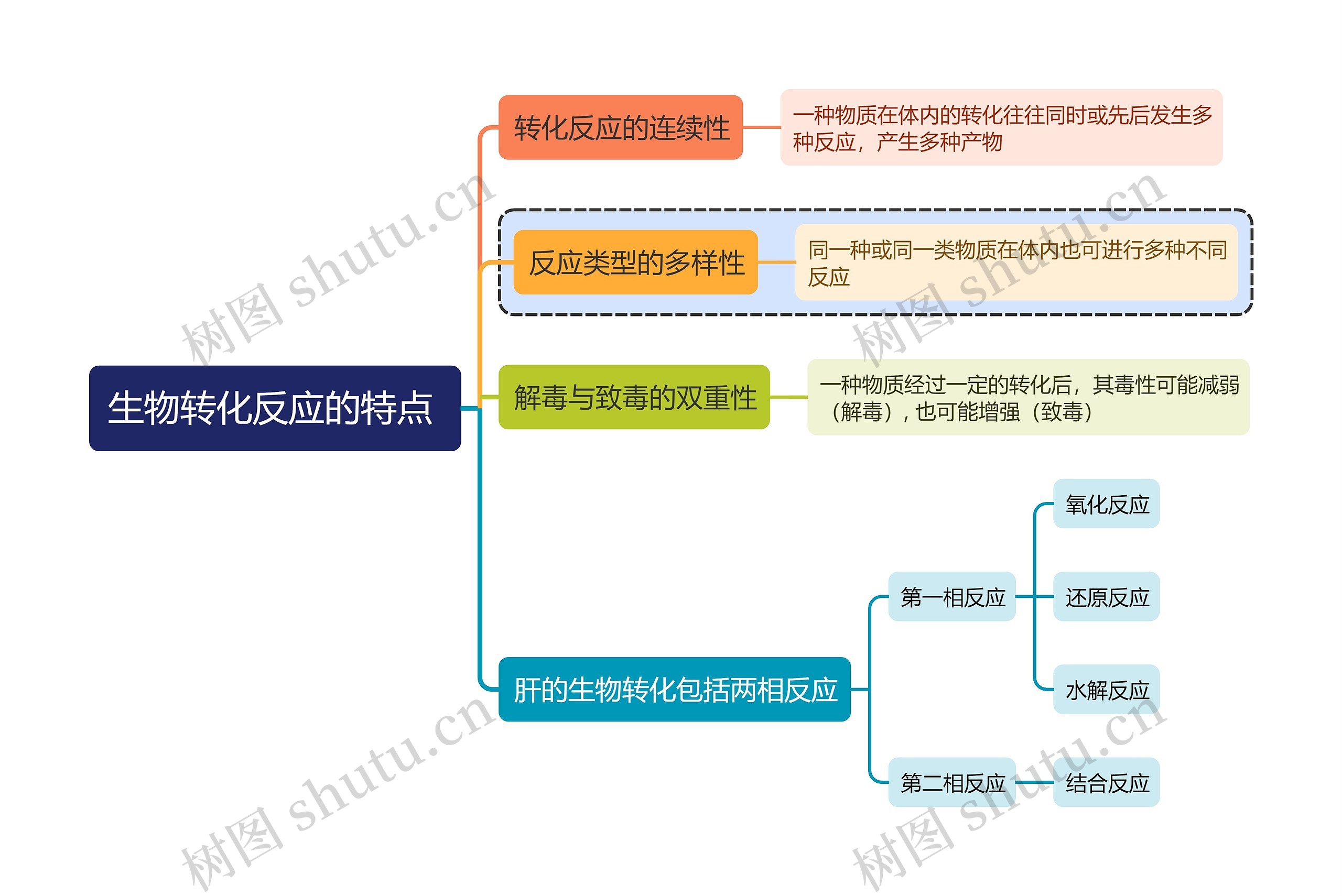 医学知识生物转化反应的特点思维导图