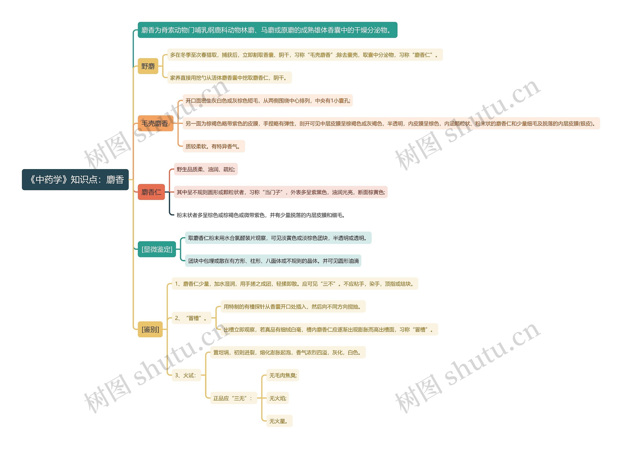 《中药学》知识点：麝香思维导图
