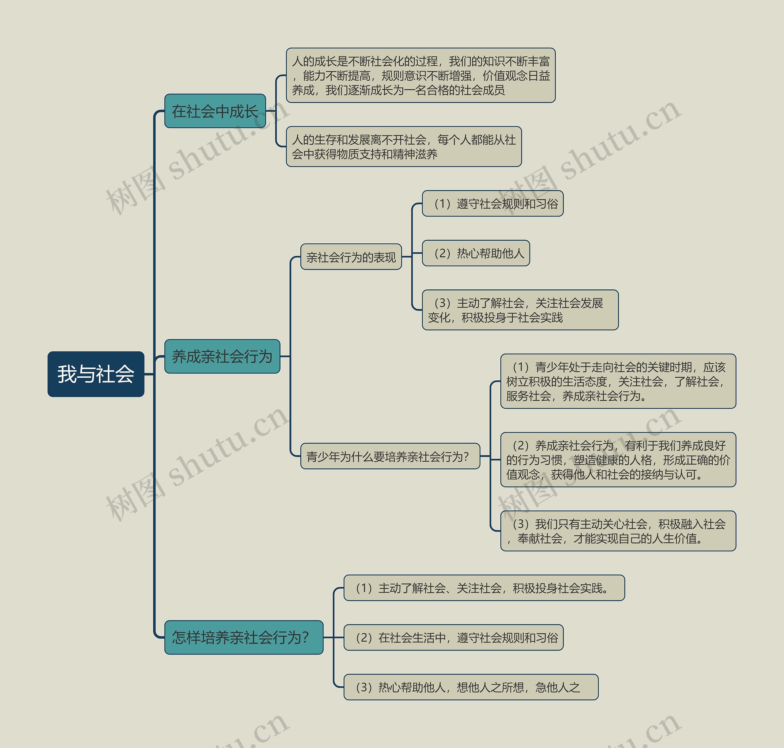 八年级上册政治我与社会的思维导图