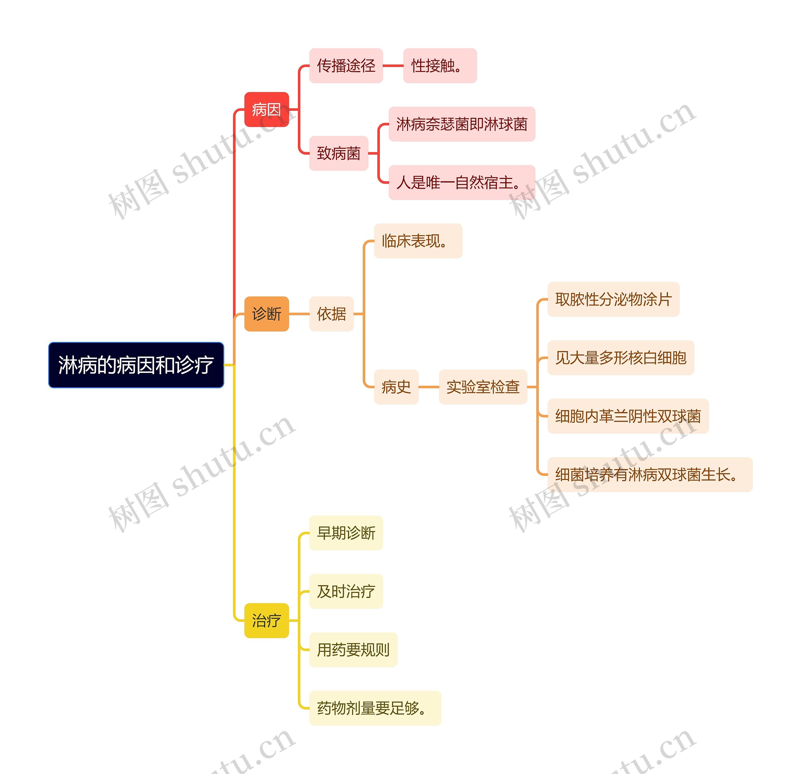 医学知识淋病的病因和诊疗思维导图