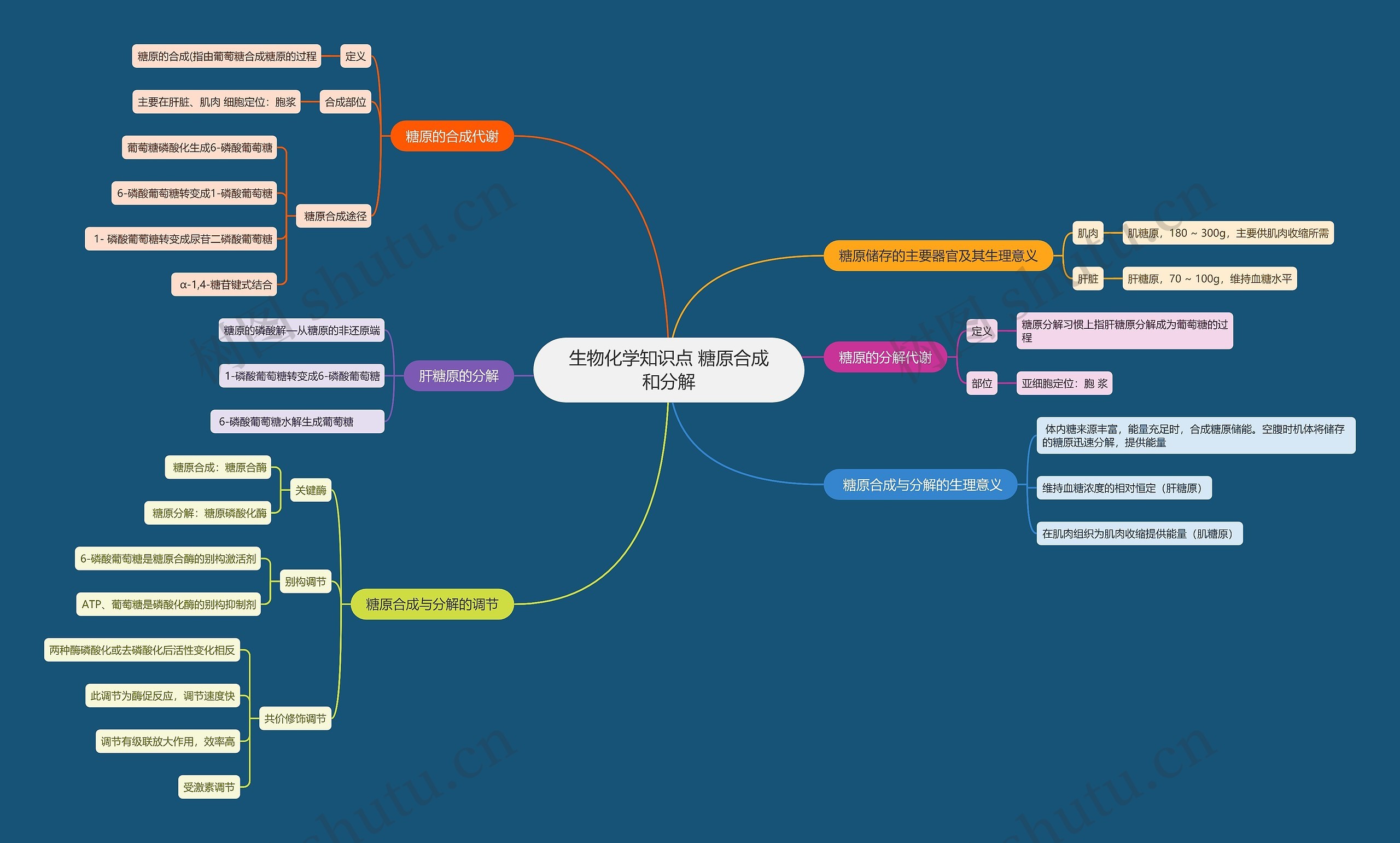 生物化学知识点 糖原合成和分解思维导图高清图 生物化学知识点 糖原合成和分解思维导图