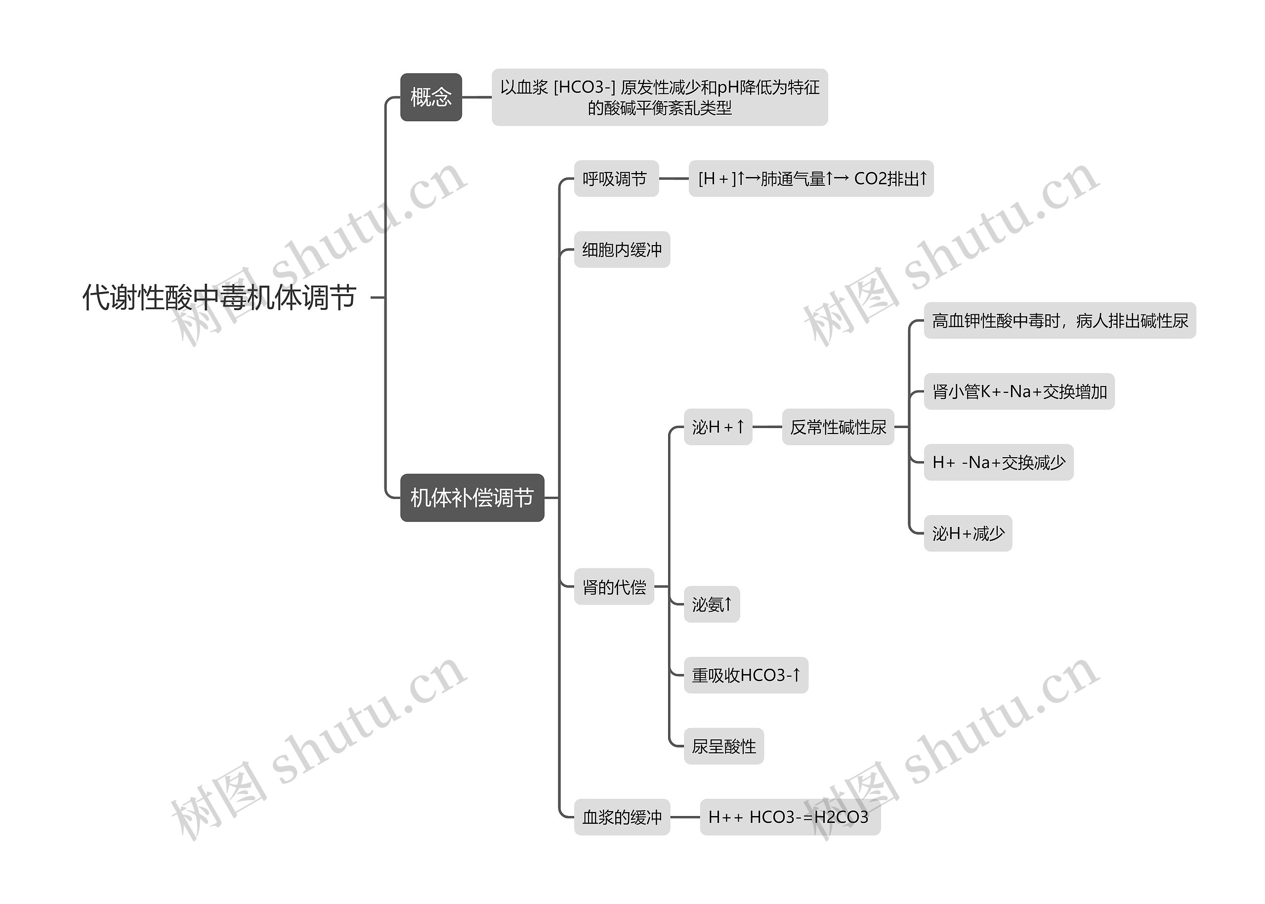 医学知识代谢性酸中毒机体调节思维导图