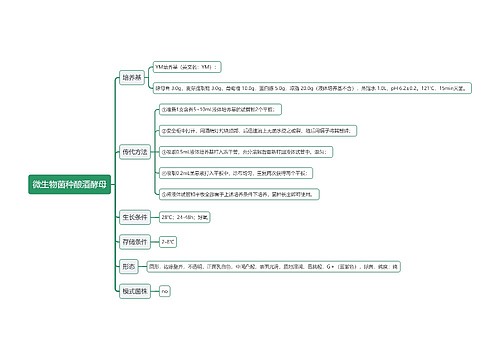 微生物菌种酿酒酵母思维导图
