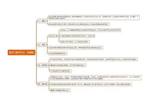 医学口腔学知识：咀嚼肌思维导图