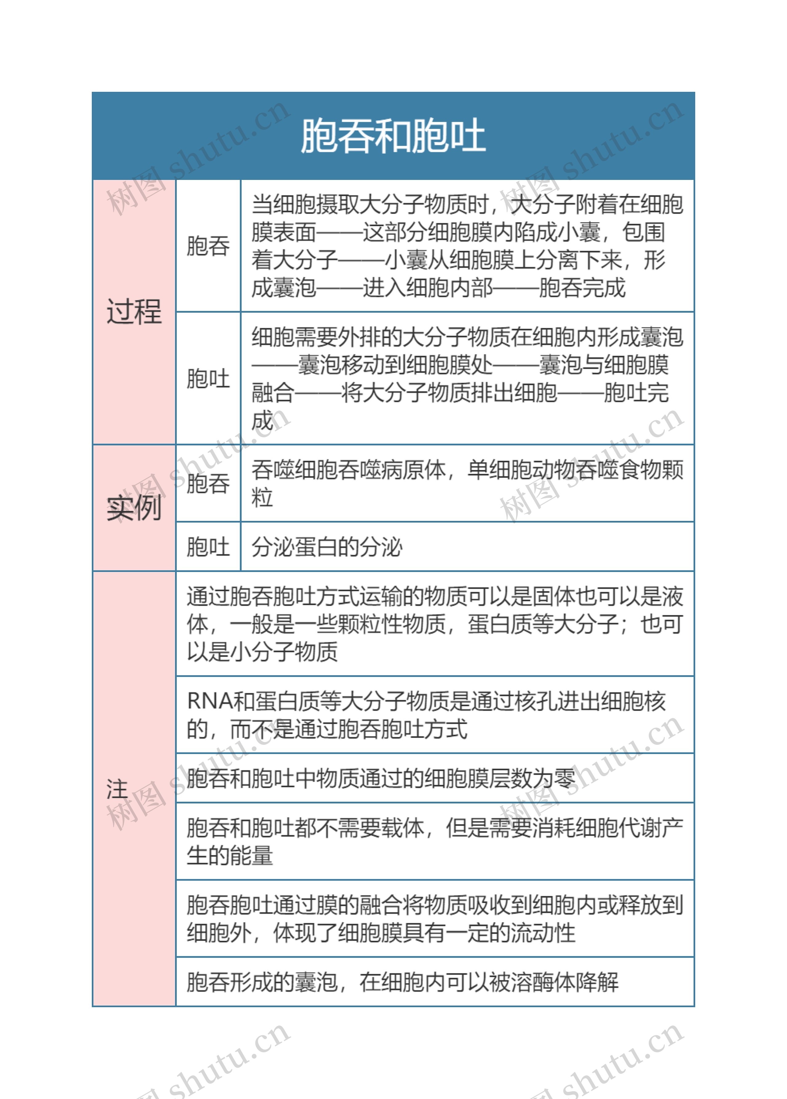 高中生物必修一胞吞和胞吐思维导图