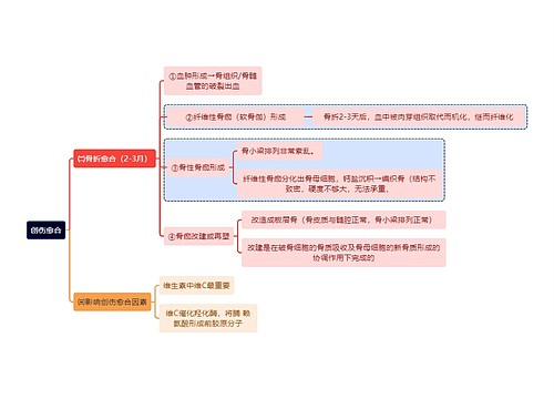 医学创伤愈合思维导图