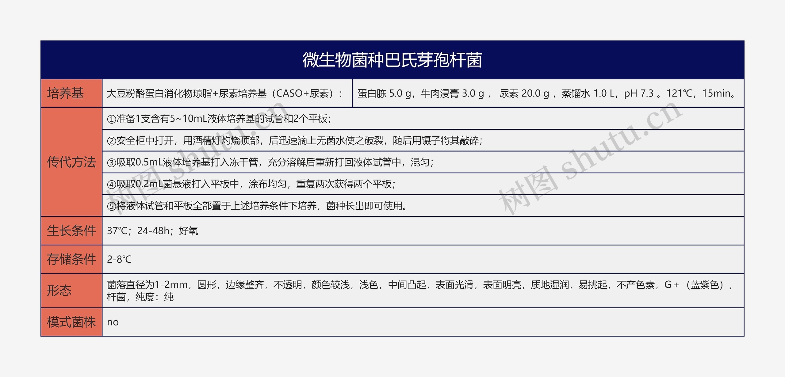 微生物菌种巴氏芽孢杆菌