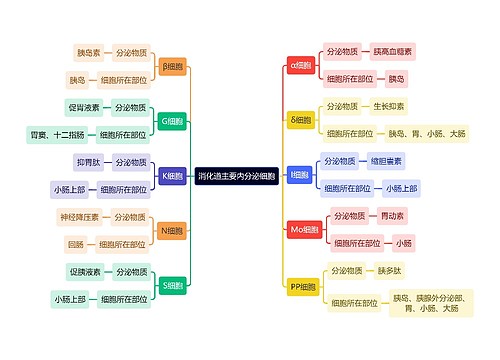 医学知识消化道主要内分泌细胞思维导图