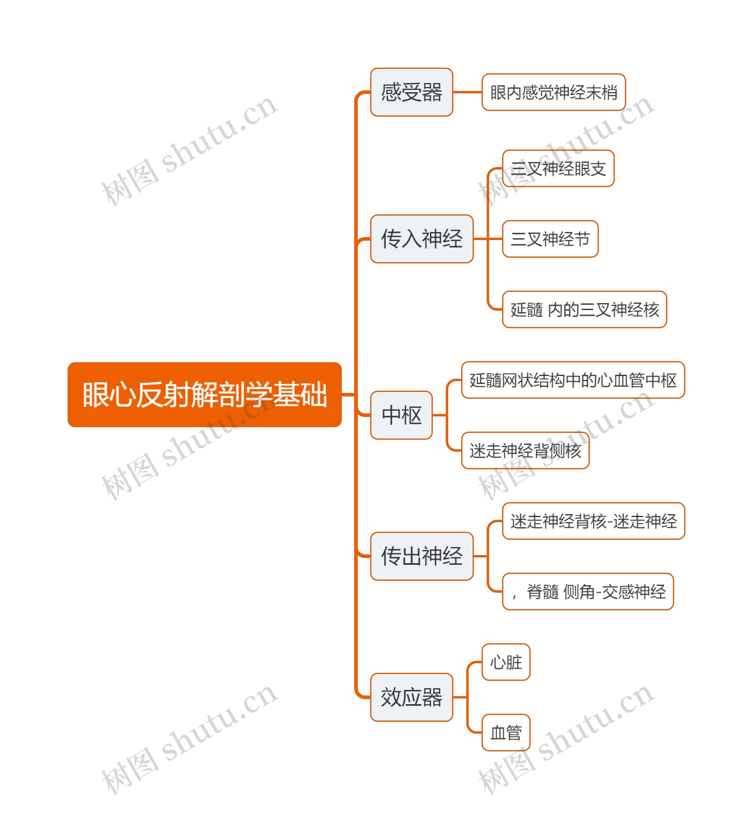 医学眼心反射解剖学基础思维导图