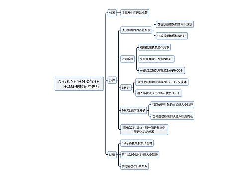 医学知识NH3和NH4+分泌与H+ 、HCO3-的转运的关系思维导图