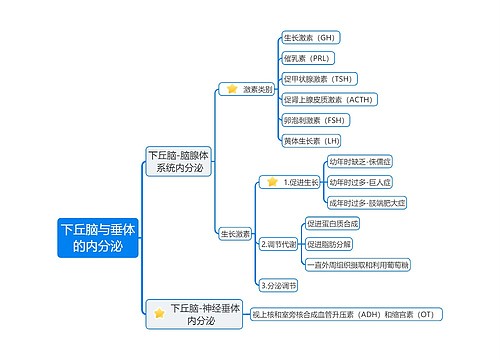 《下丘脑与垂体的内分泌》思维导图