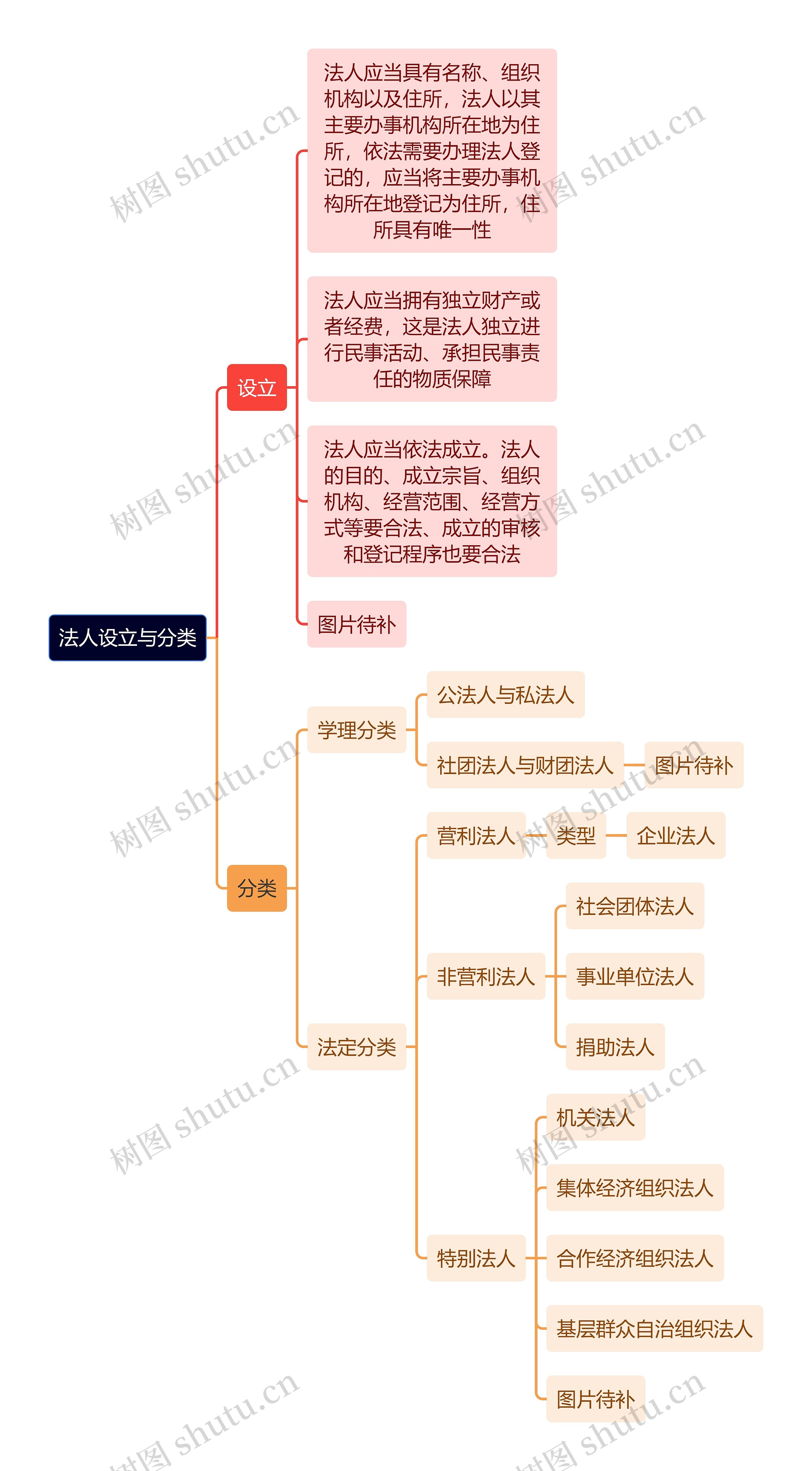 法人设立与分类