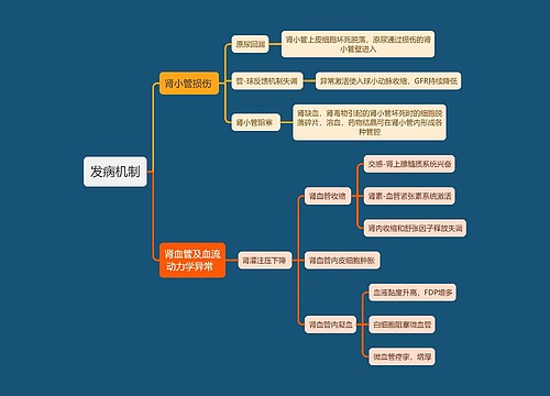 医学知识肾损伤发病机制思维导图