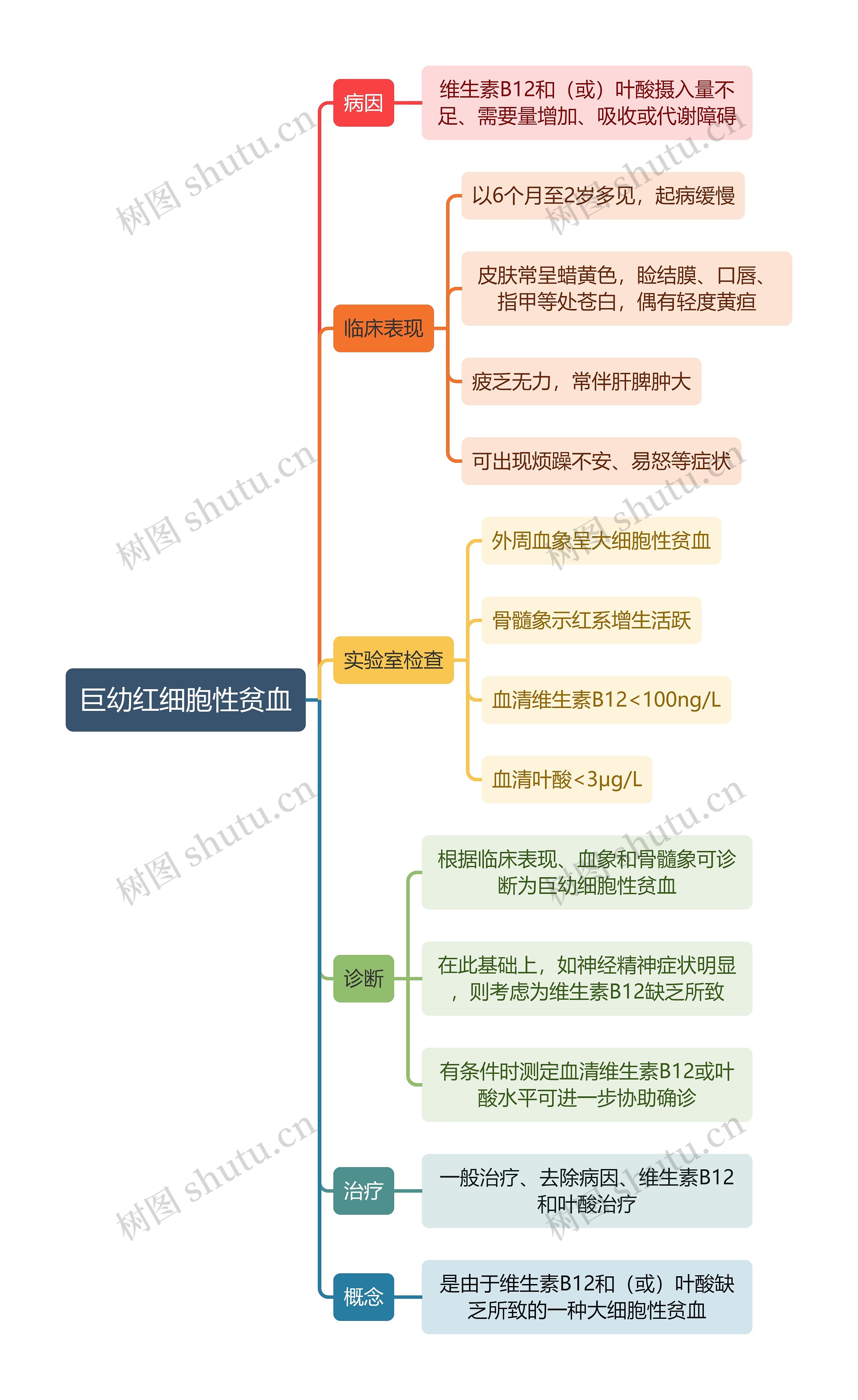 医学知识巨幼红细胞性贫血思维导图