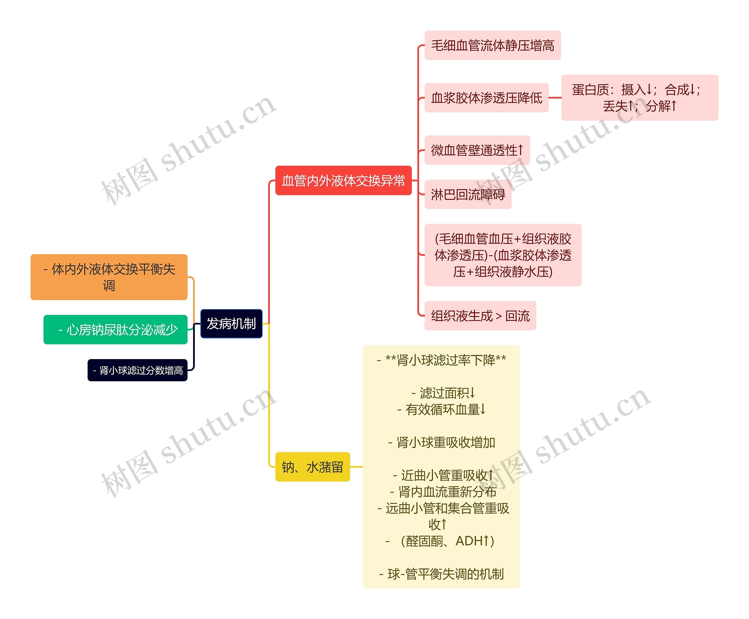 医学知识水钠潴留发病机制思维导图