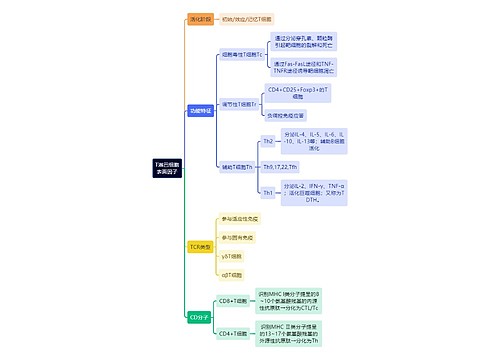 医学知识T淋巴细胞表面因子思维导图